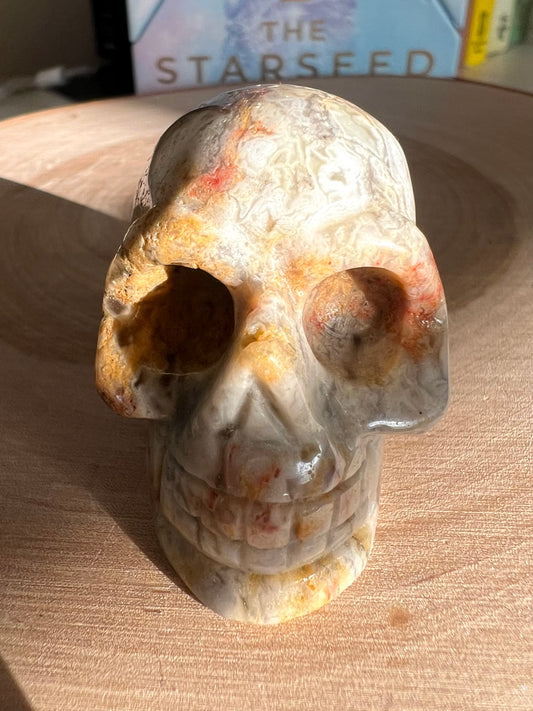 Ocean Jasper Carved Skull