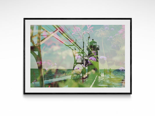 South Haven Summer