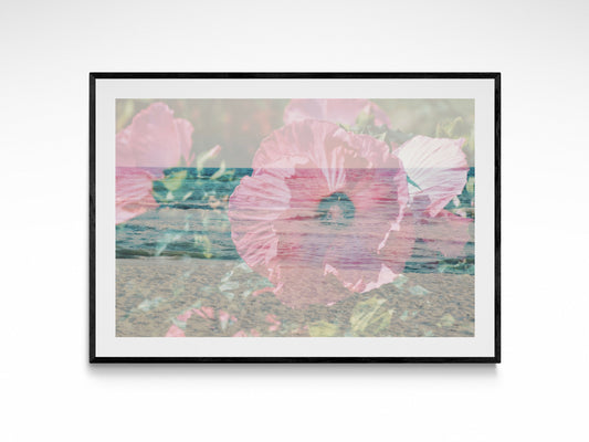 Ocean Hibiscus