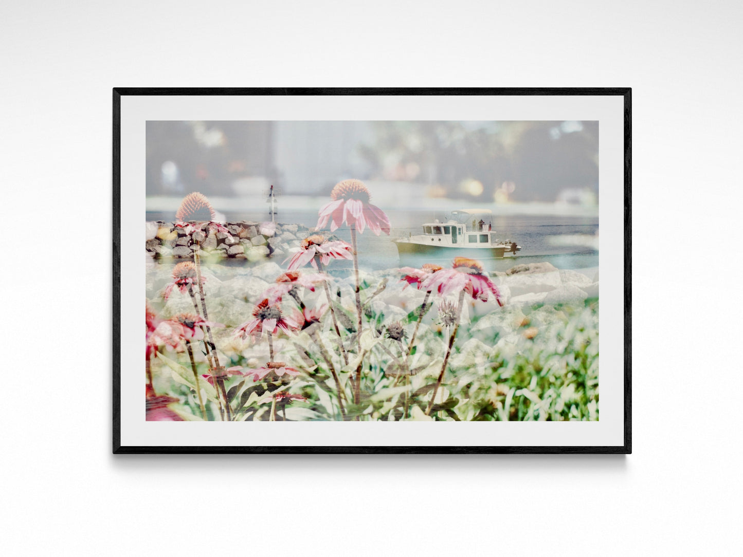 St Ignace Blooms