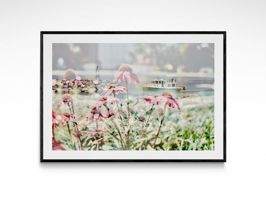 St Ignace Blooms