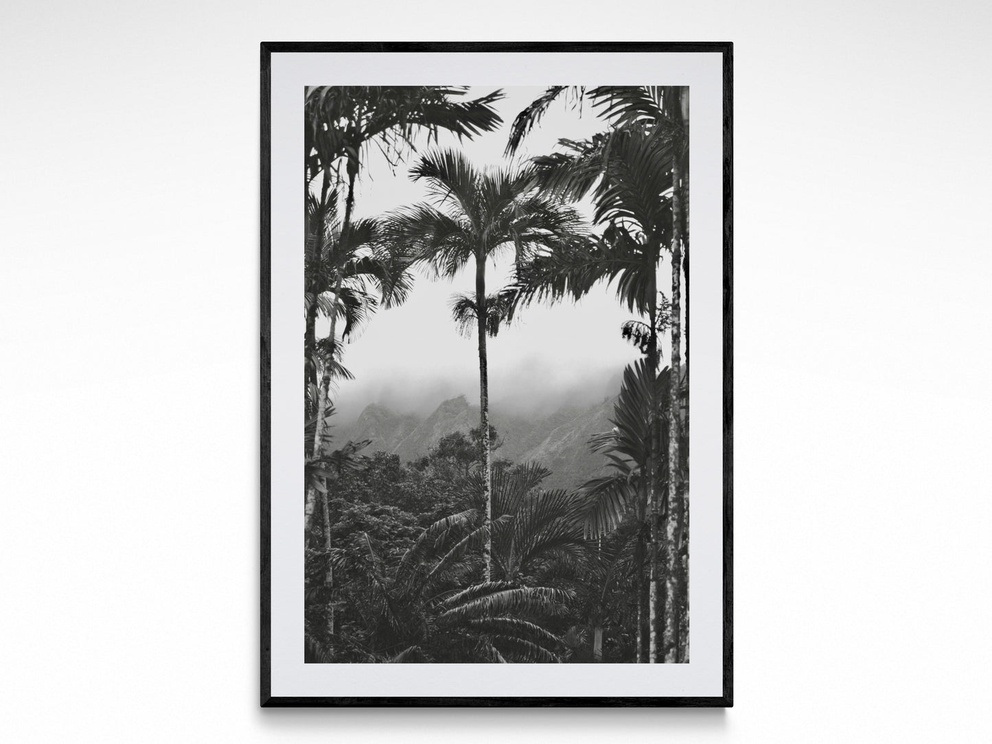 Rainforest Paradise