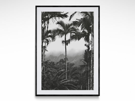 Rainforest Paradise