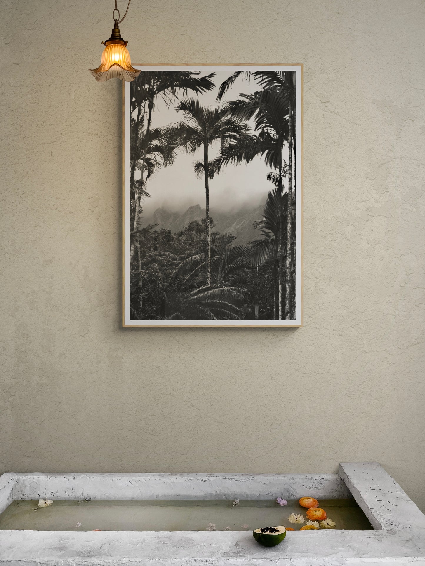 Rainforest Paradise
