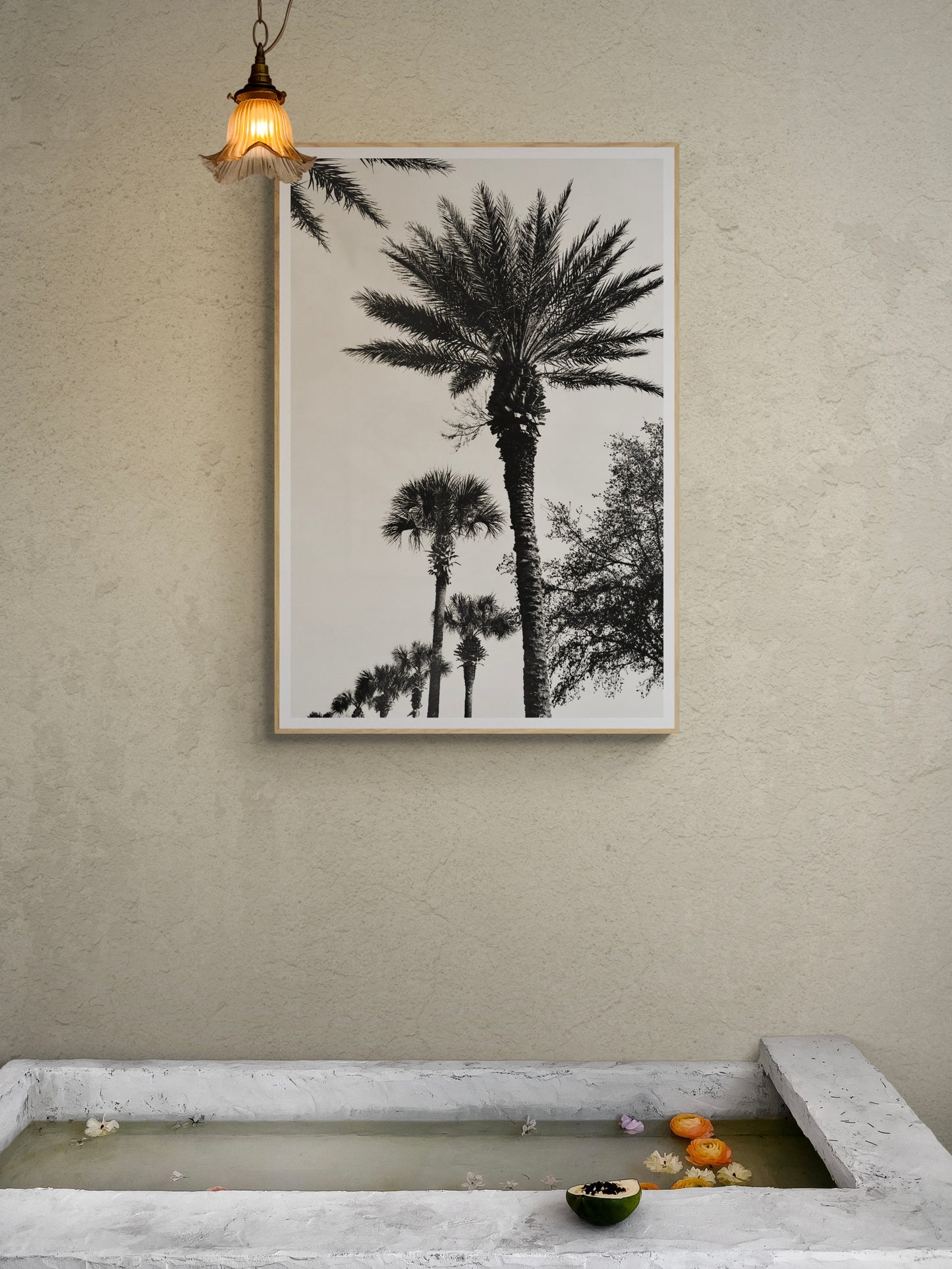 The Palms