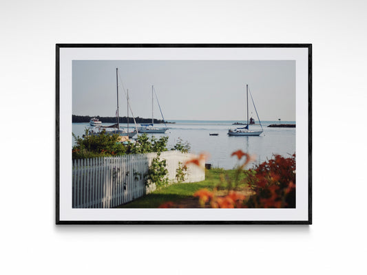 Sailboats & Flowers