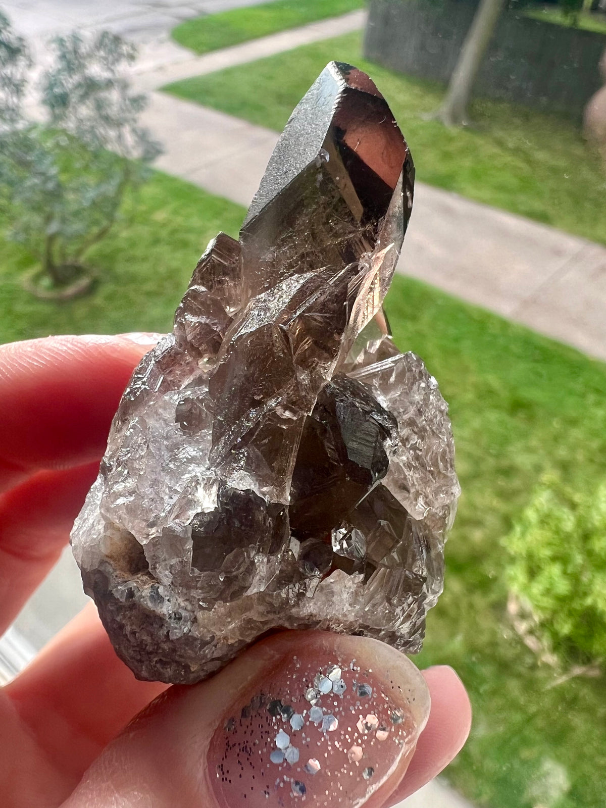 Smoky Quartz Cluster