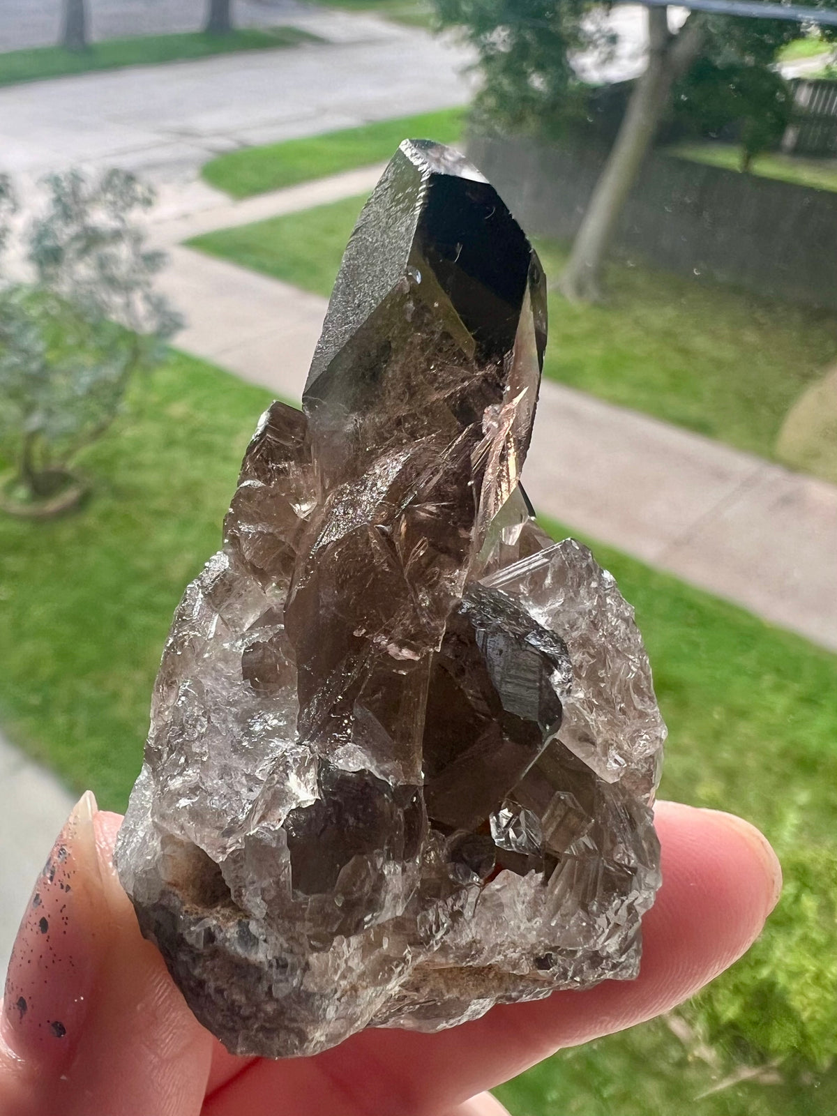 Smoky Quartz Cluster