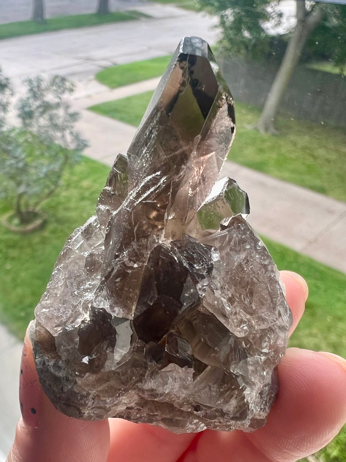 Smoky Quartz Cluster