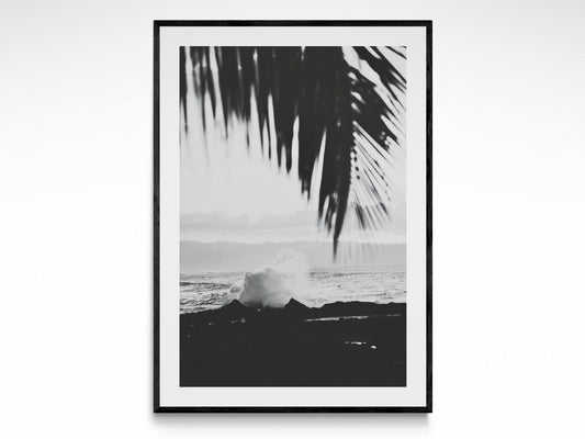 Wave Palm