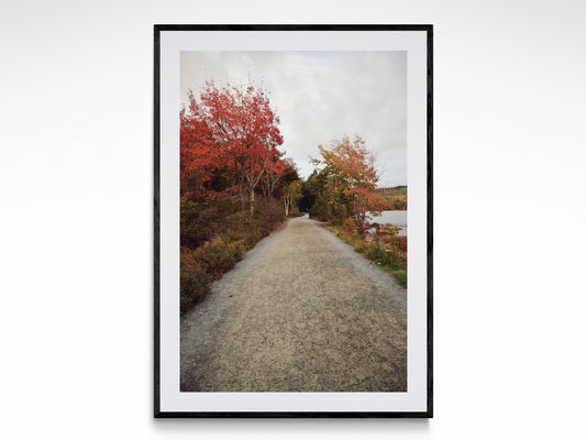 Path To Autumn