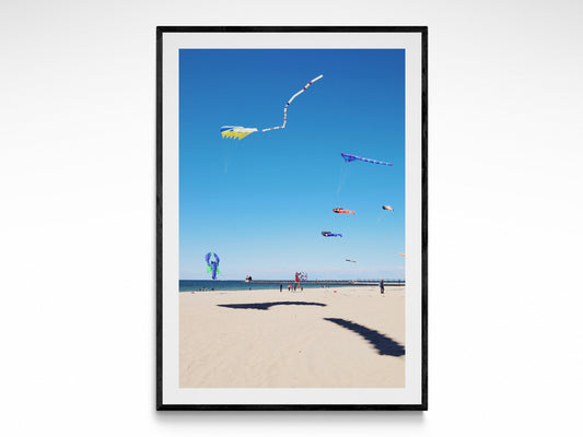 Kite Festival