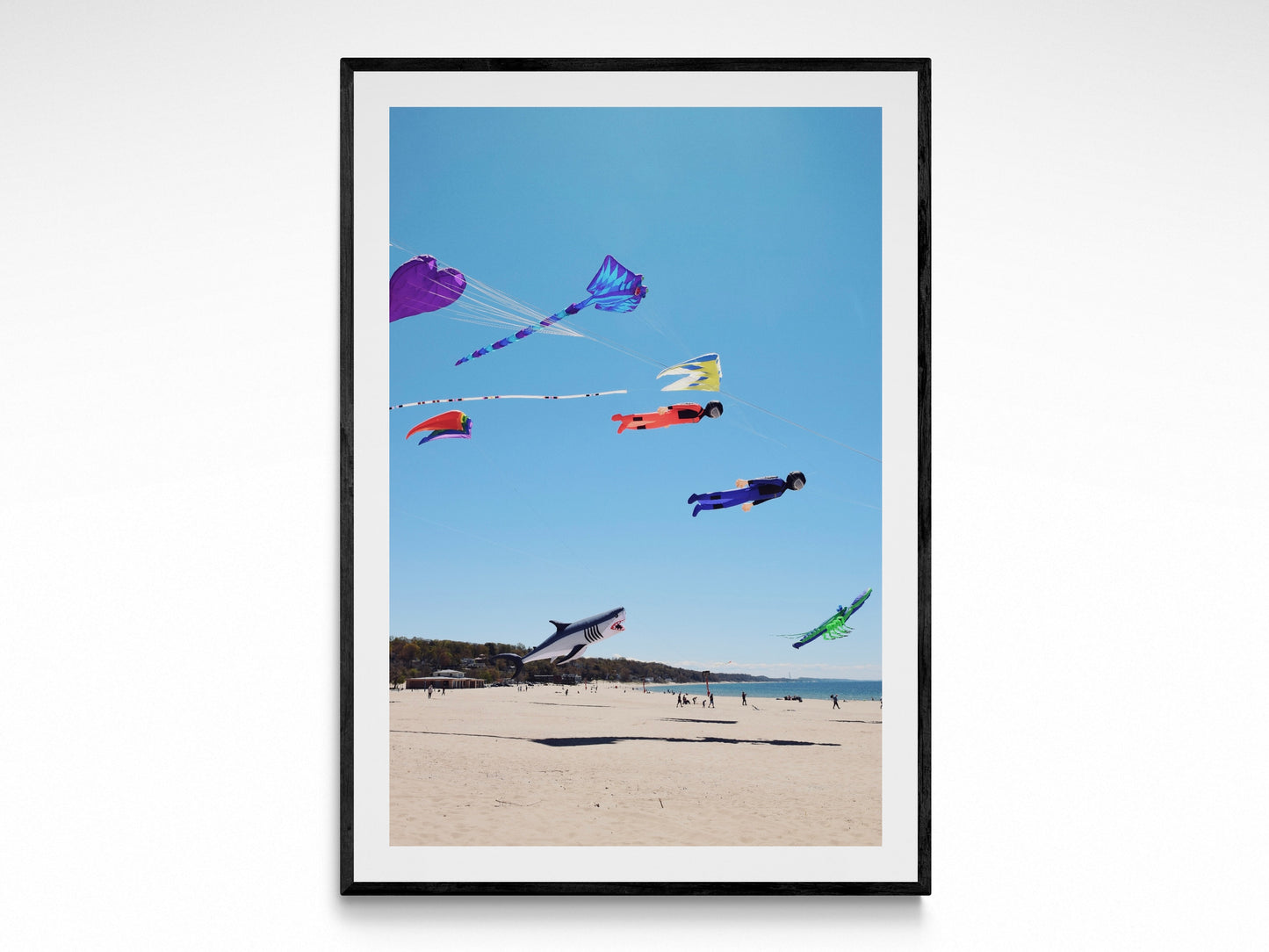 Lake Michigan Kites