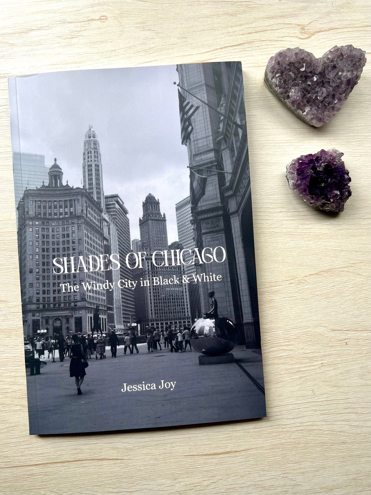 Shades Of Chicago: The Windy City in Black & White Softcover