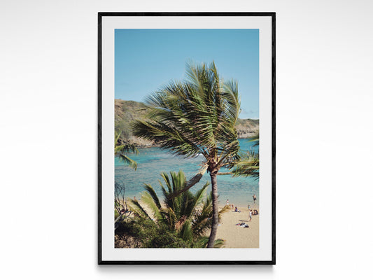 Hanauma Bay Breeze