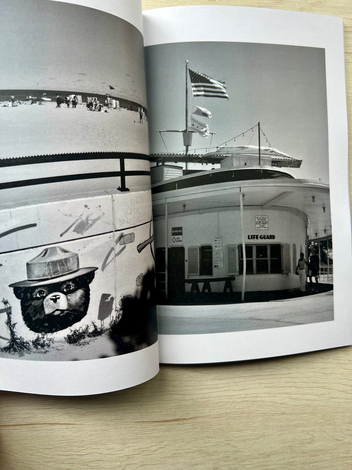 Shades Of Chicago: The Windy City in Black & White Softcover