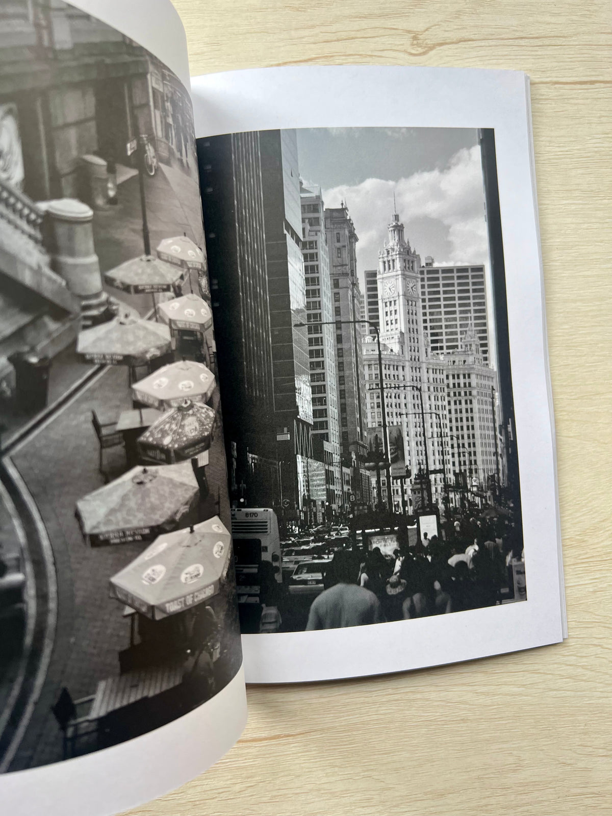Shades Of Chicago: The Windy City in Black & White Softcover