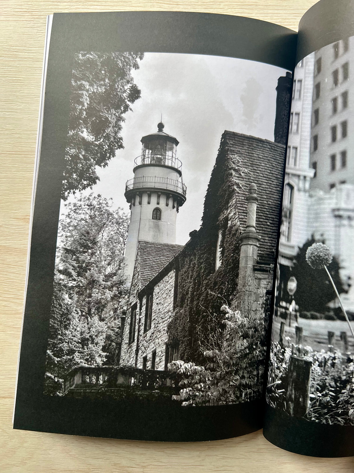 Shades Of Chicago: The Windy City in Black & White Softcover