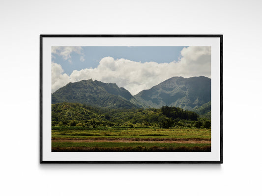 Wild Kauai