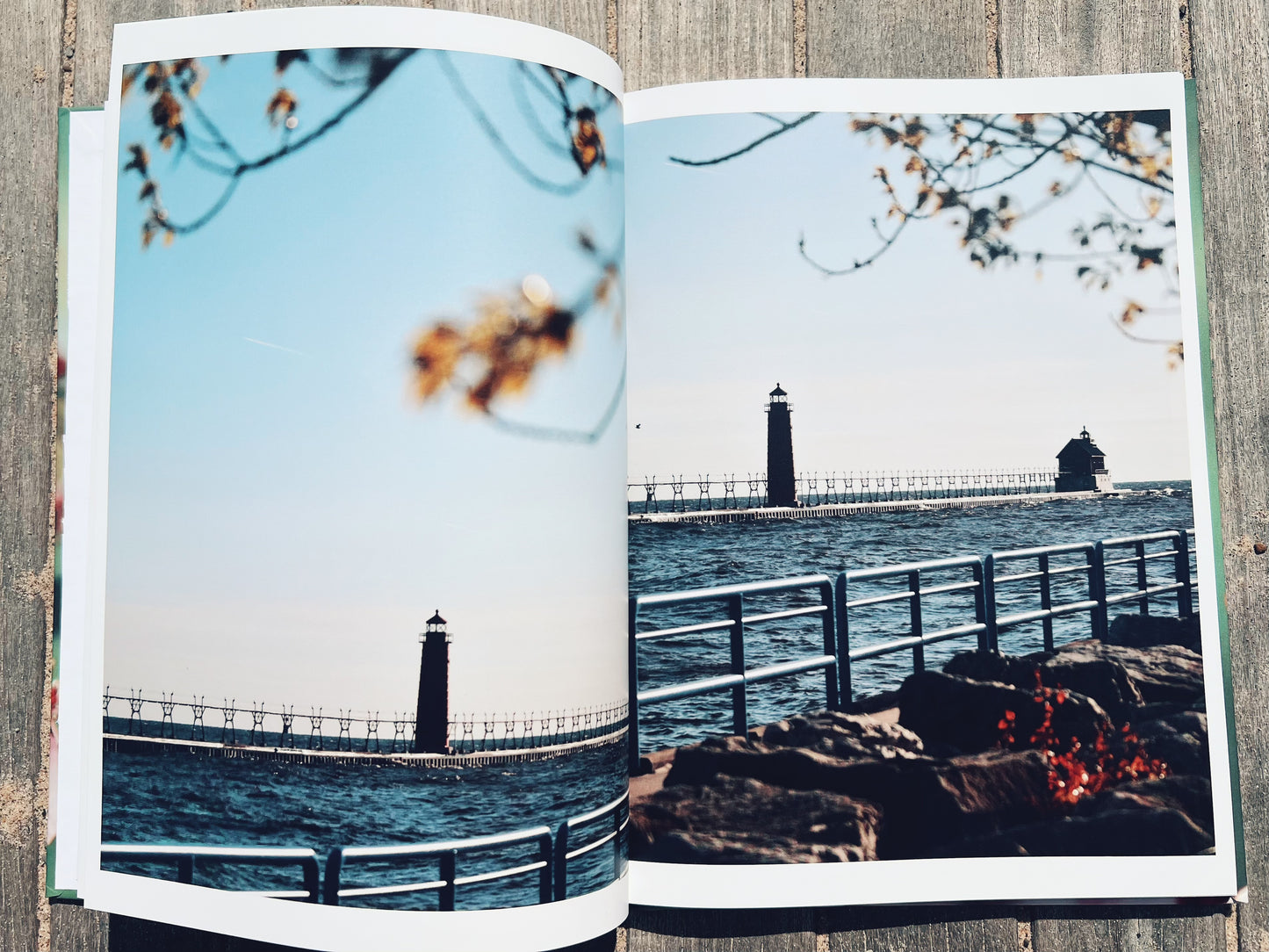 Michigan In Bloom: A Spring Collection
