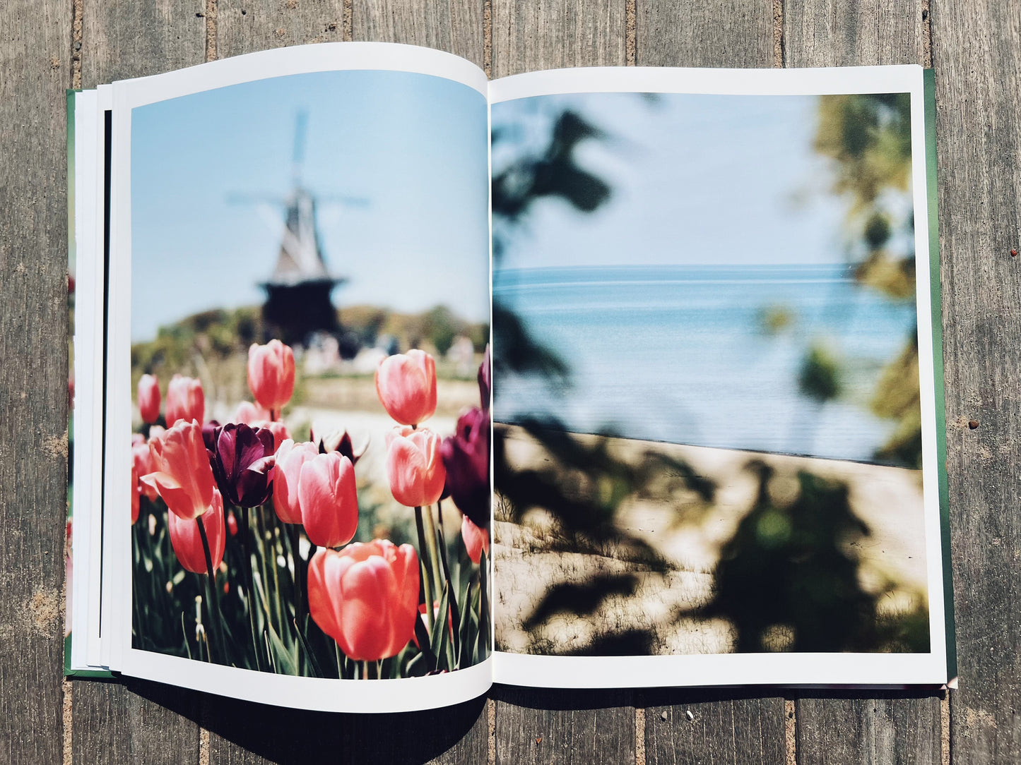 Michigan In Bloom: A Spring Collection