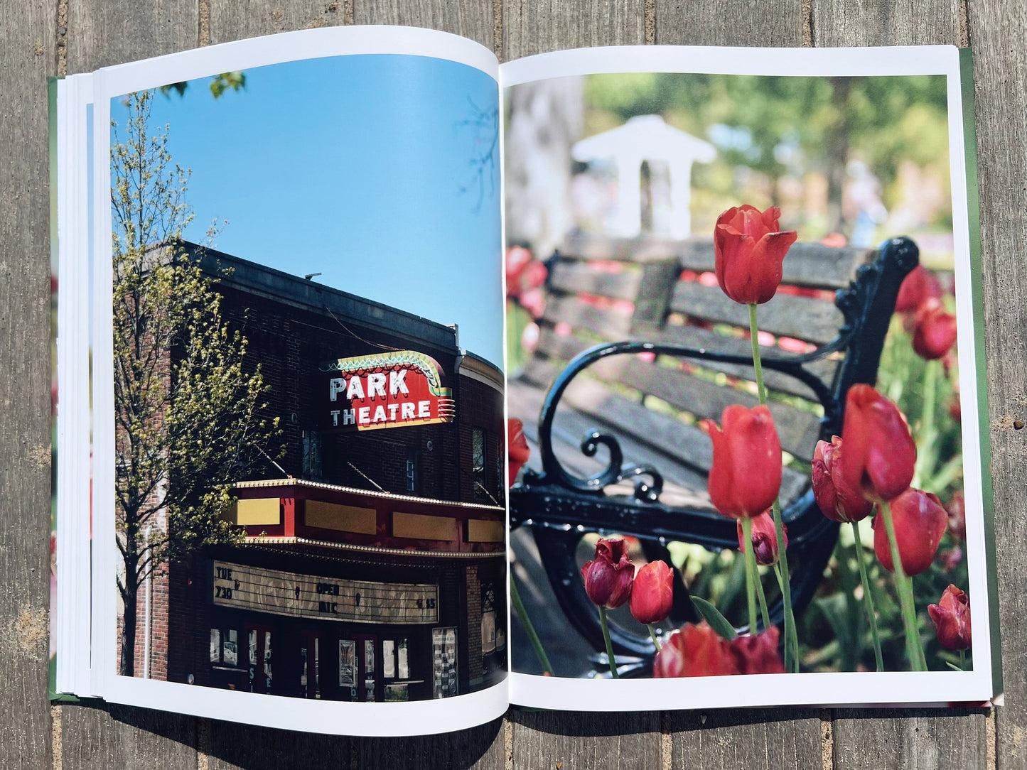 Michigan In Bloom: A Spring Collection
