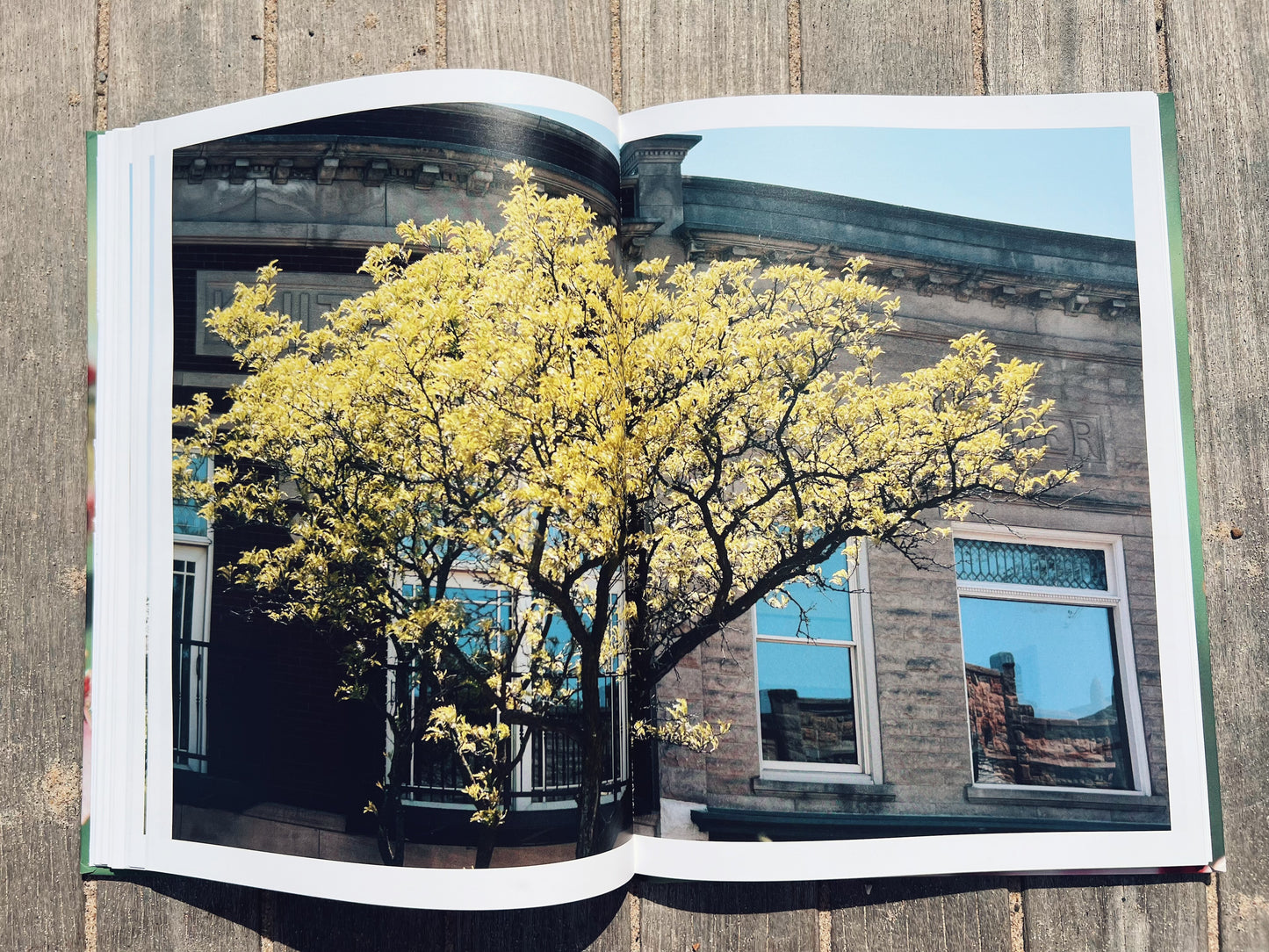 Michigan In Bloom: A Spring Collection