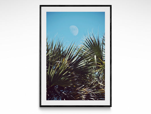 Tropical Luna