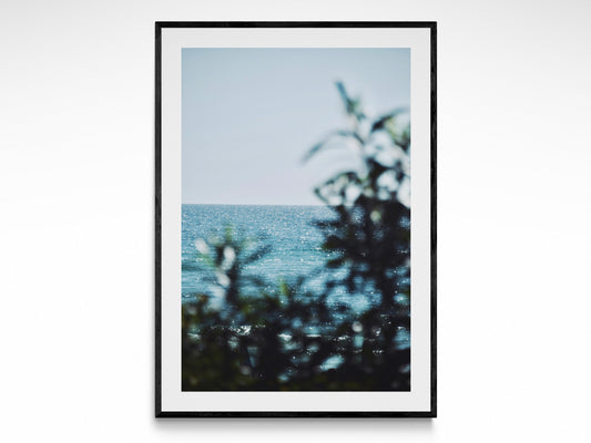 Ocean Paradise