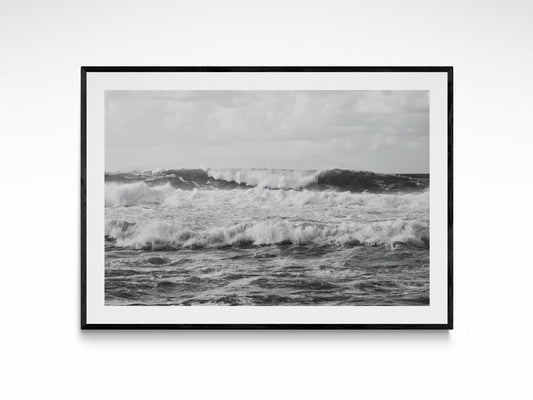 Wild Hawaii