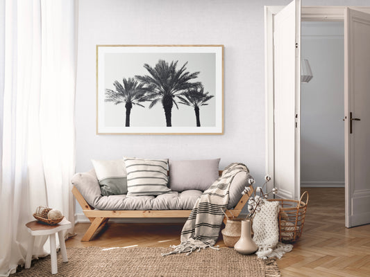 Palm Summer