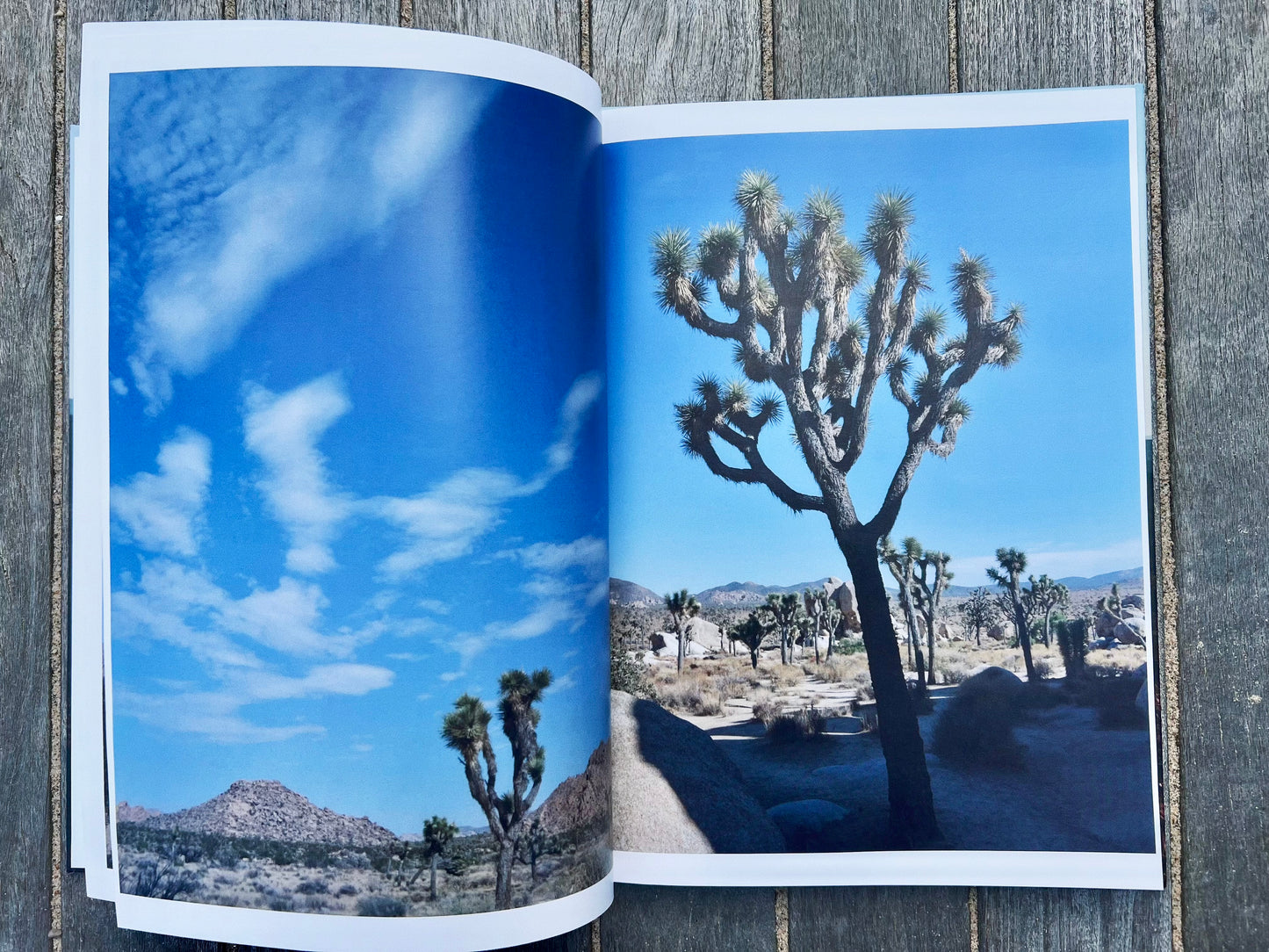 Drift West: Views From Open Road
