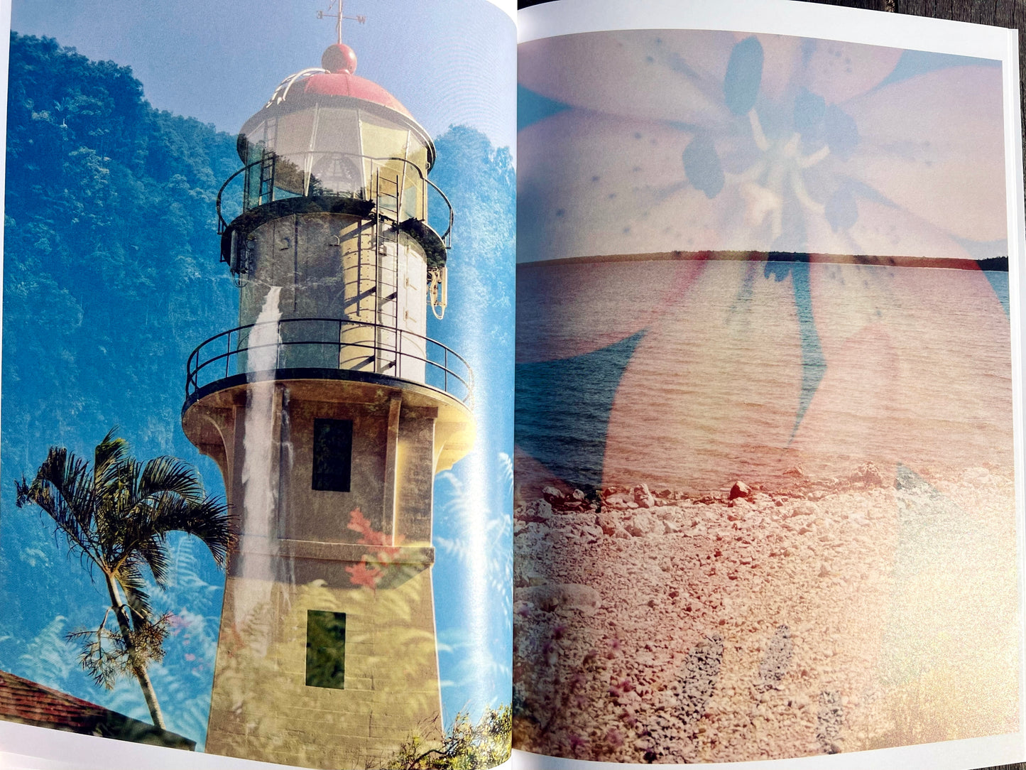 Lighthouse Garden: A Double Exposure Collection