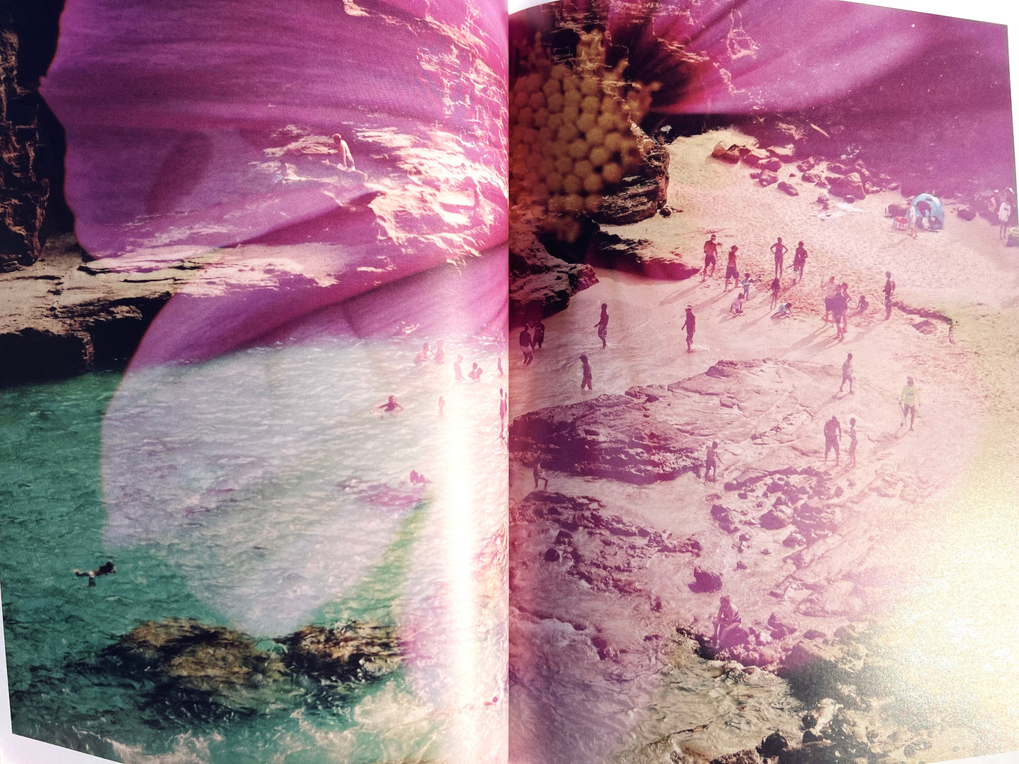 Lighthouse Garden: A Double Exposure Collection