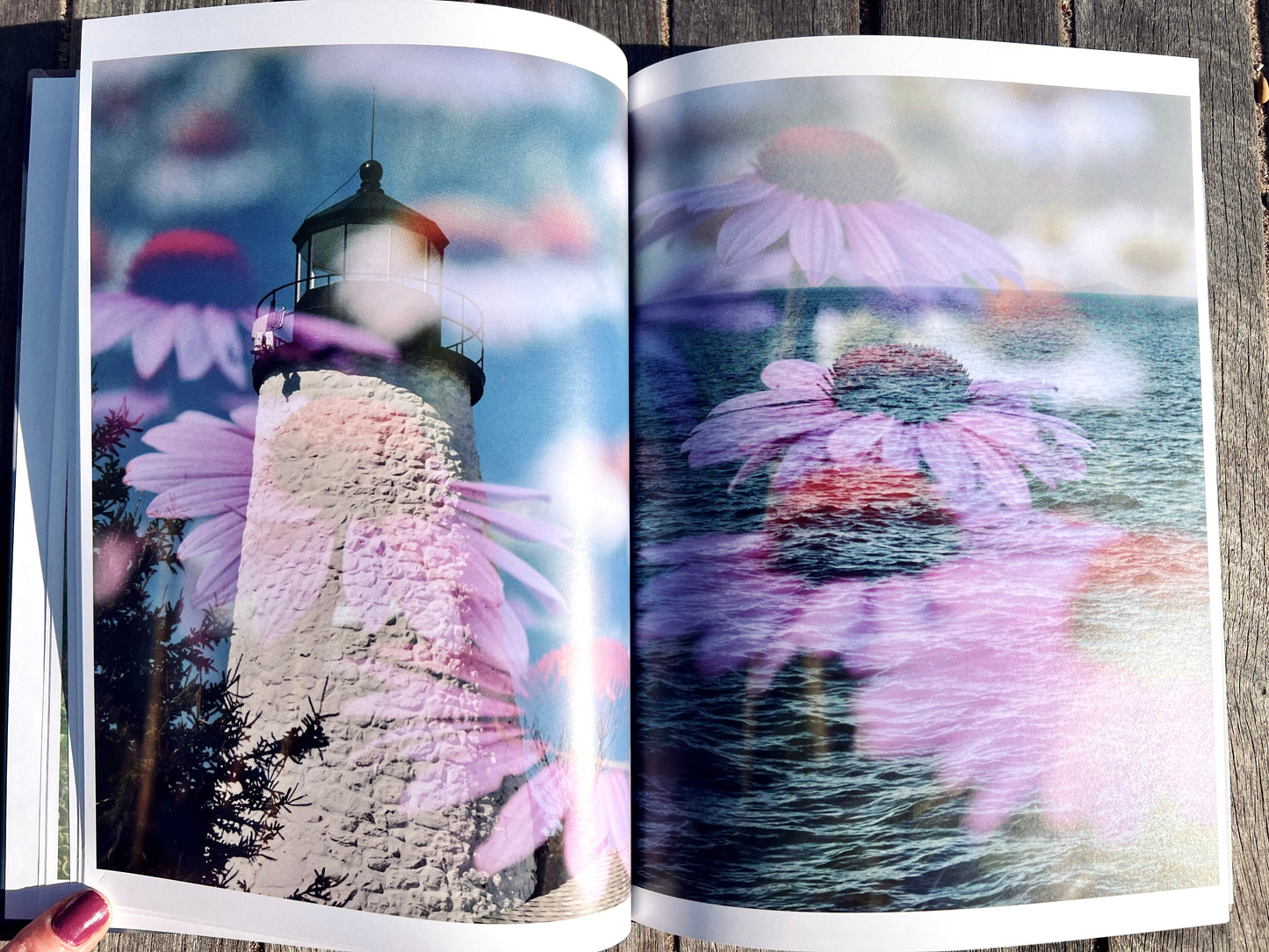 Lighthouse Garden: A Double Exposure Collection