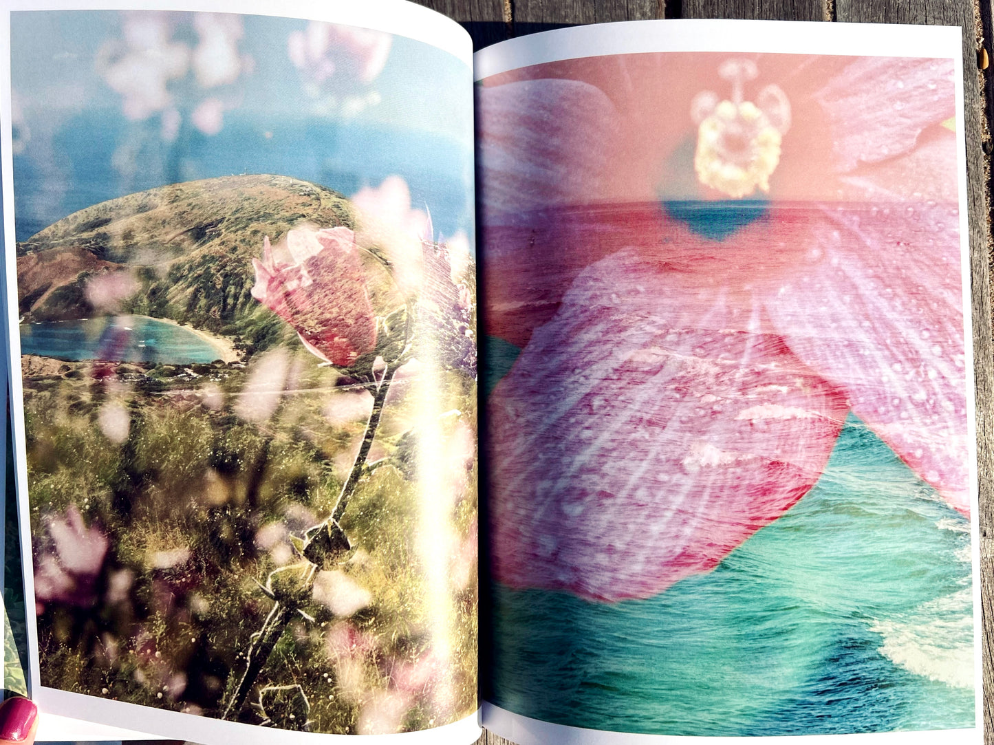 Lighthouse Garden: A Double Exposure Collection