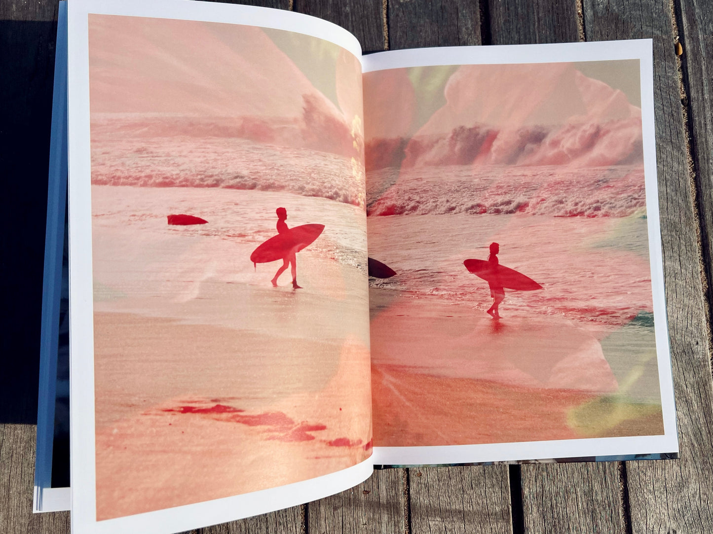 Lighthouse Garden: A Double Exposure Collection