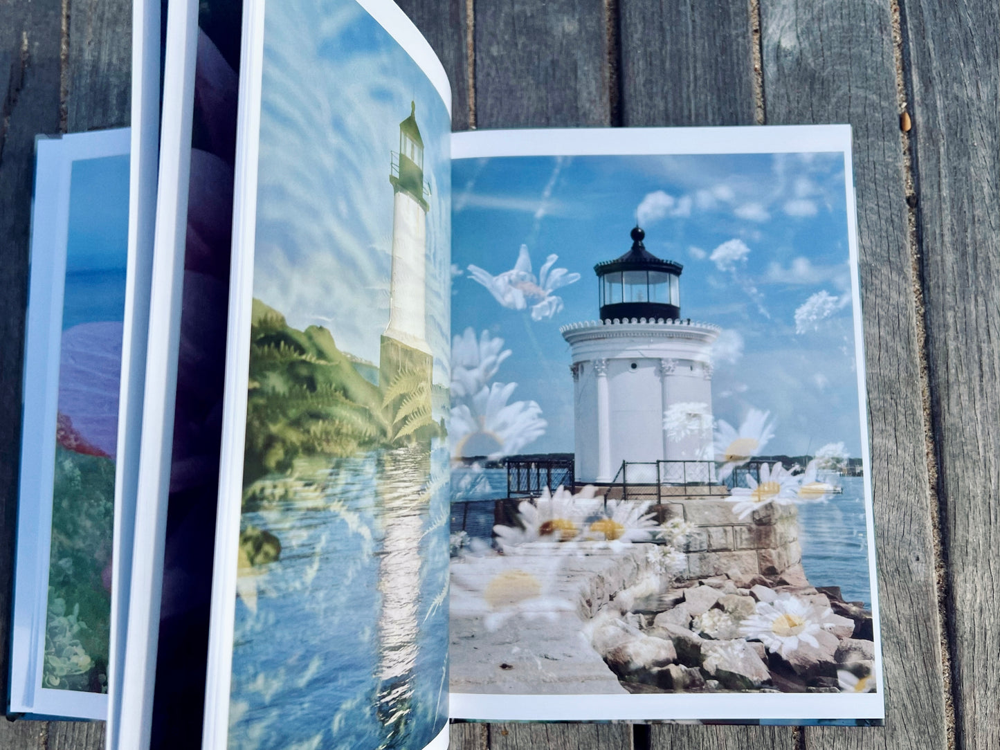 Lighthouse Garden: A Double Exposure Collection
