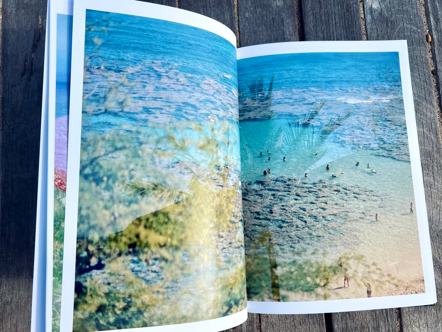 Lighthouse Garden: A Double Exposure Collection