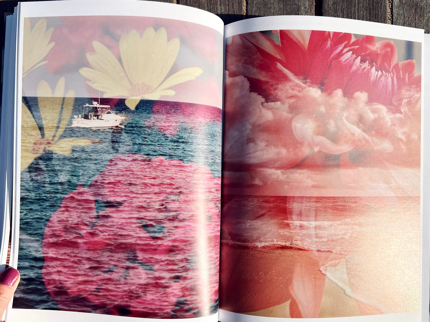 Lighthouse Garden: A Double Exposure Collection