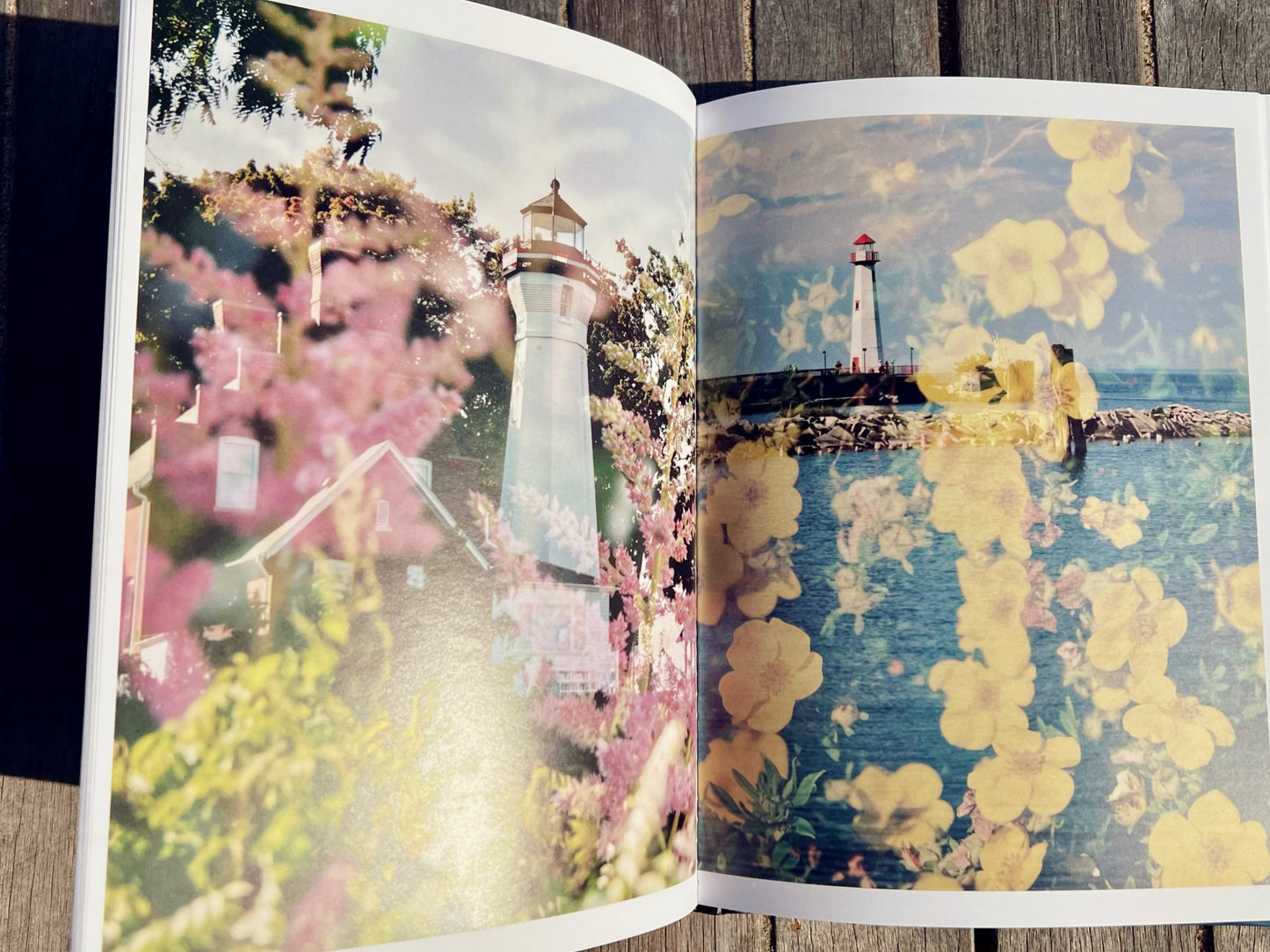 Lighthouse Garden: A Double Exposure Collection