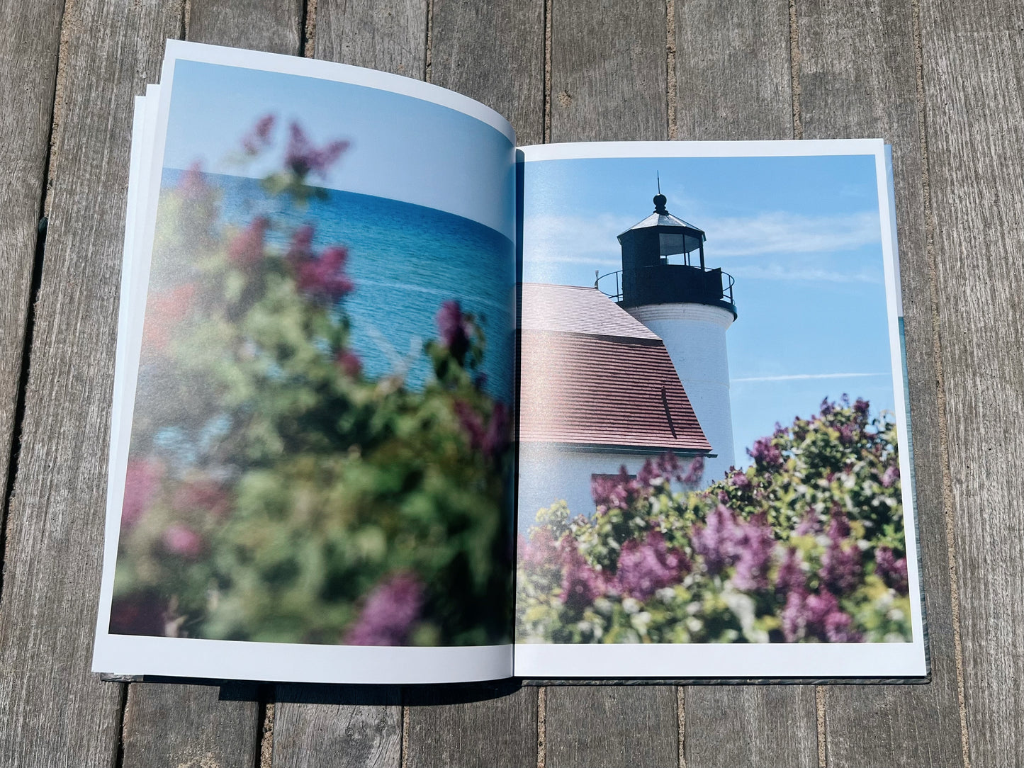 Traverse City Shores: A Spring Fine Art Collection