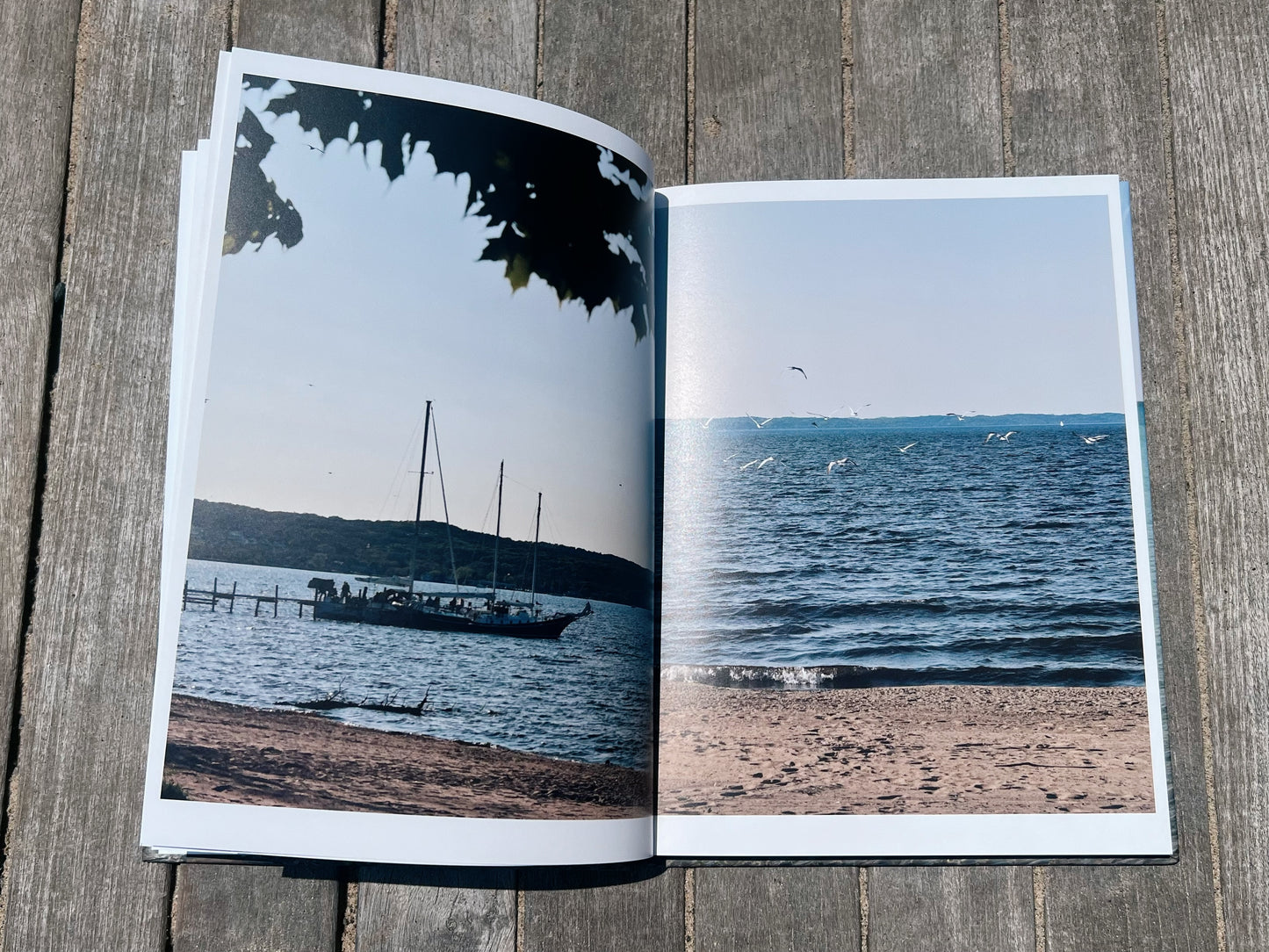 Traverse City Shores: A Spring Fine Art Collection