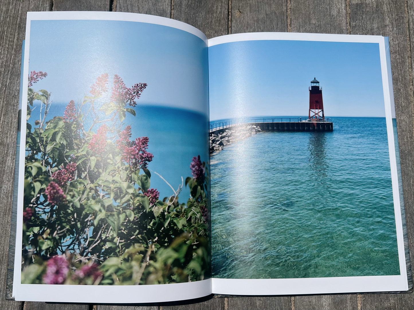 Traverse City Shores: A Spring Fine Art Collection