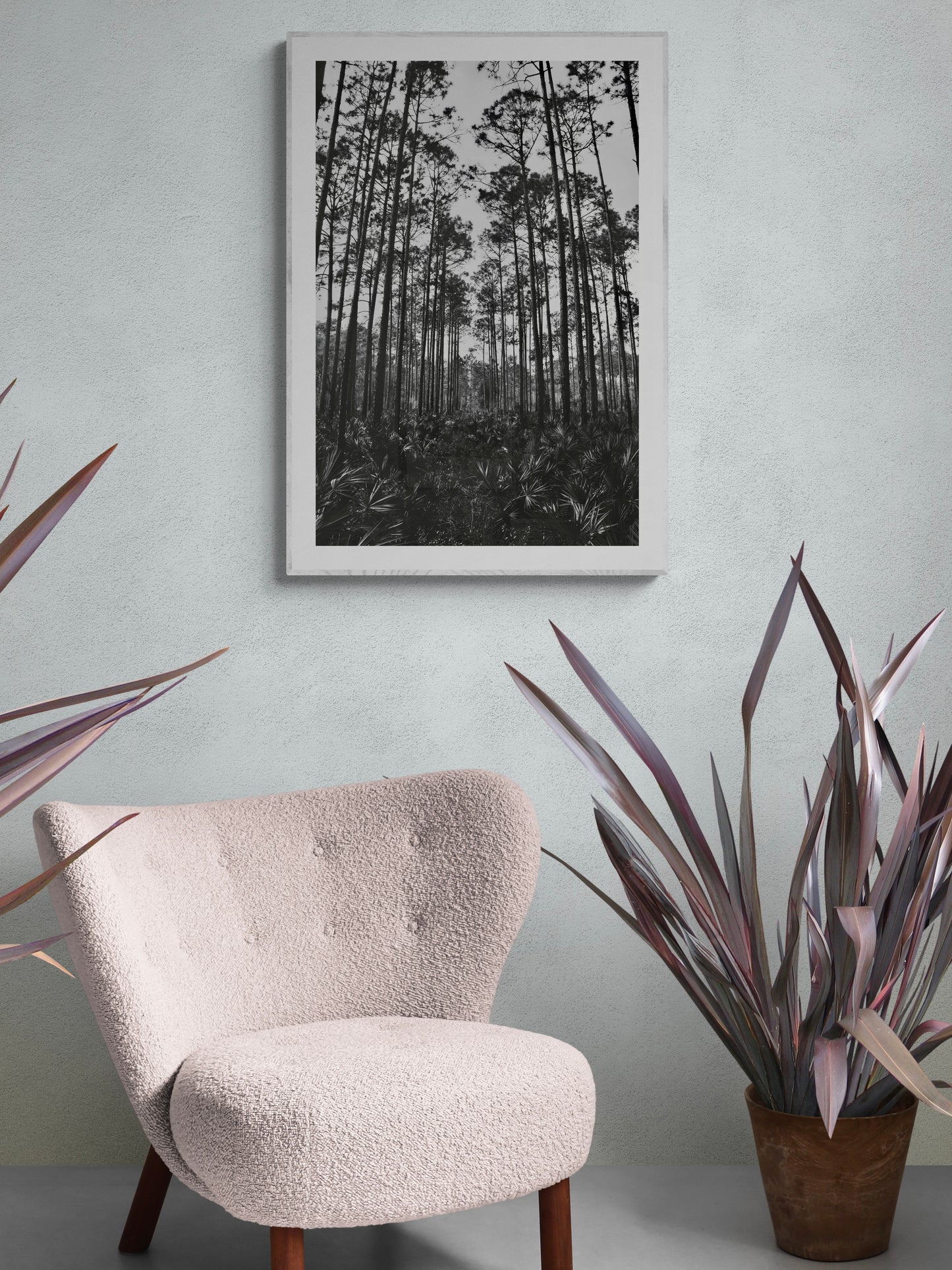 Tropical Forest