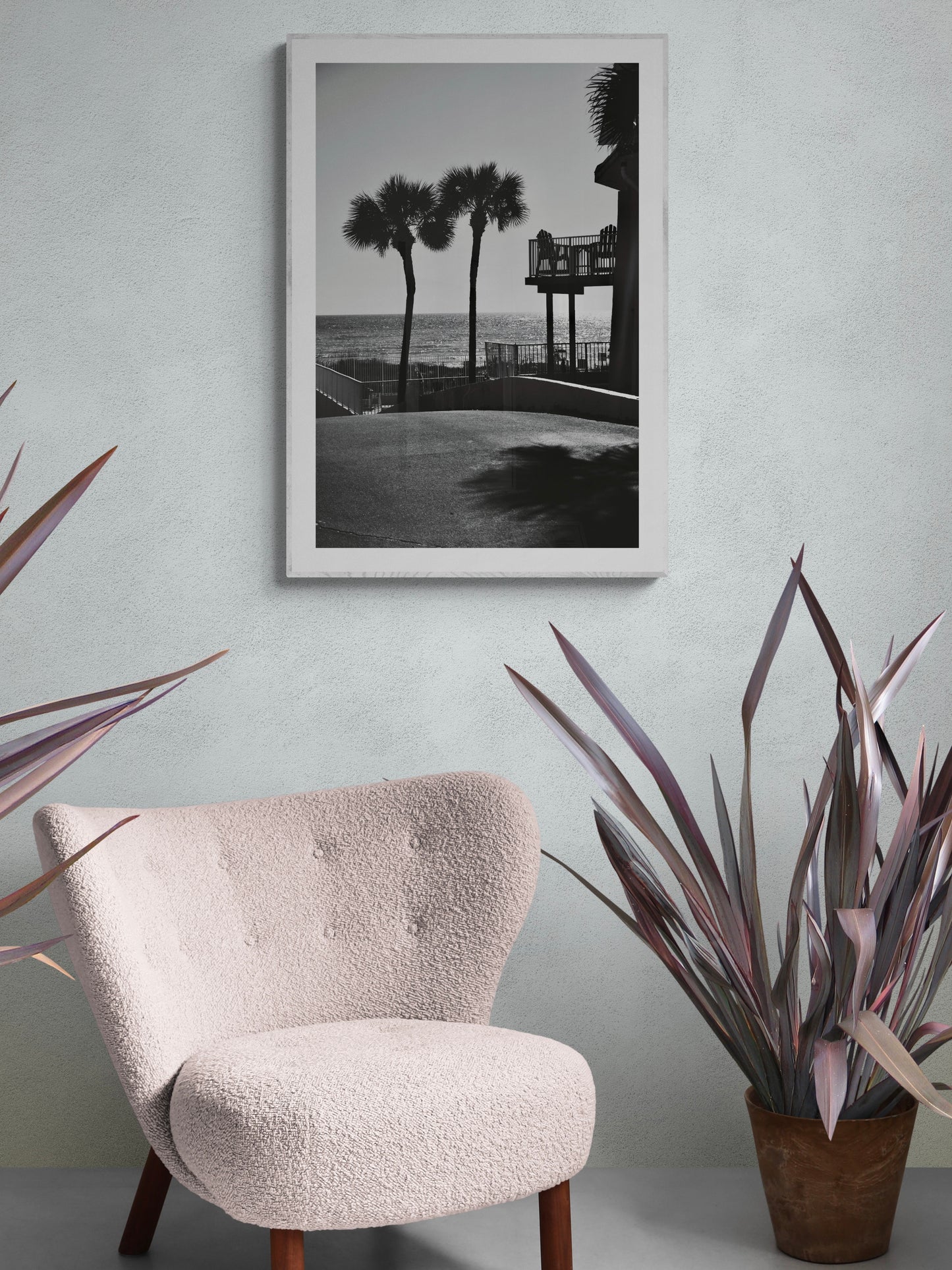 Panama City Palms