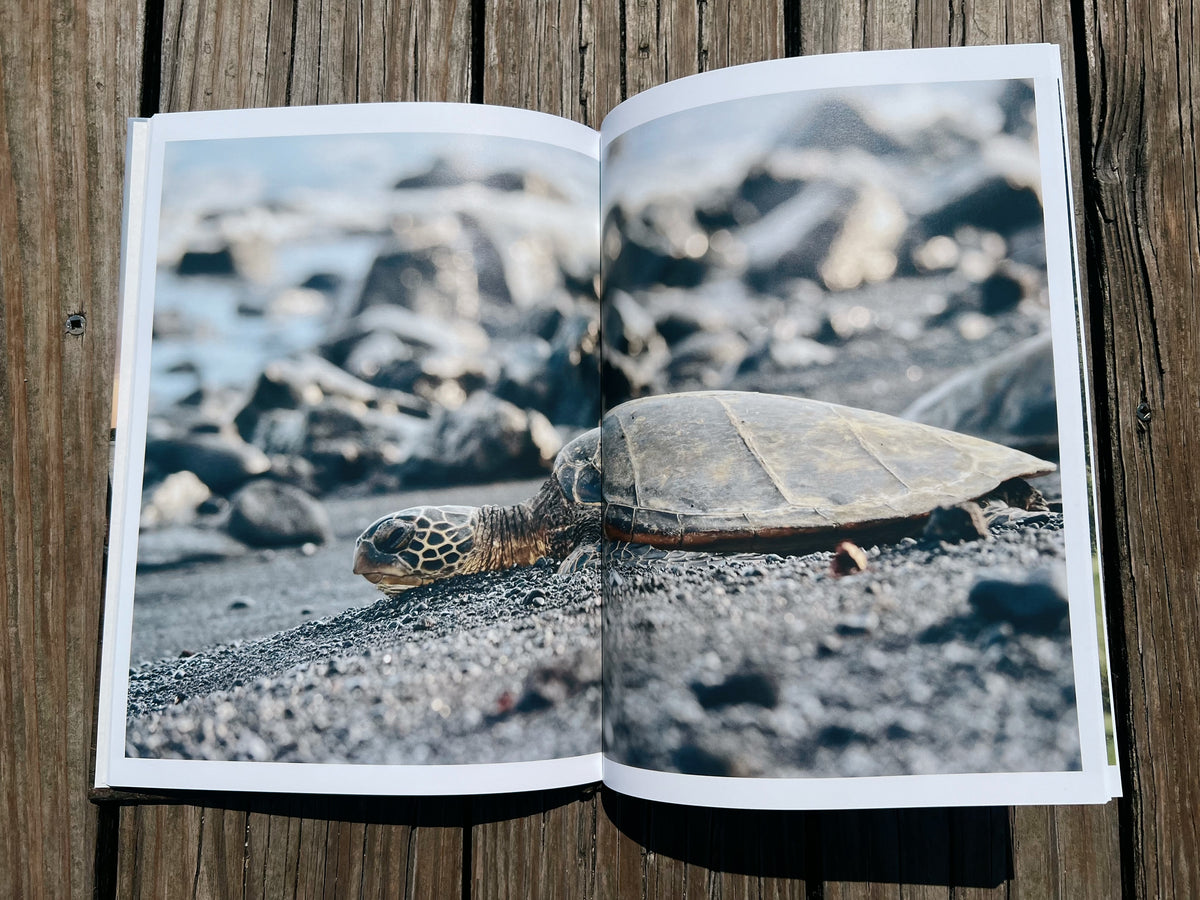 Big Island Love: A Hawai'i Collection