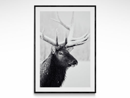 Rustic Elk
