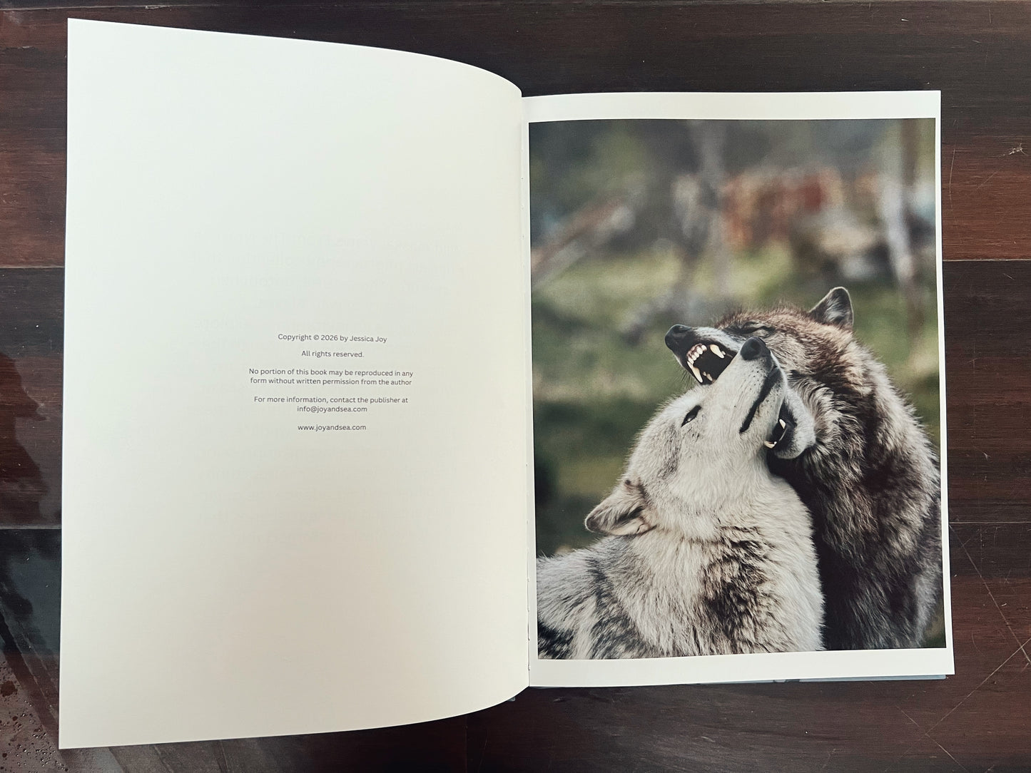 Wild Alaska: Views From The North