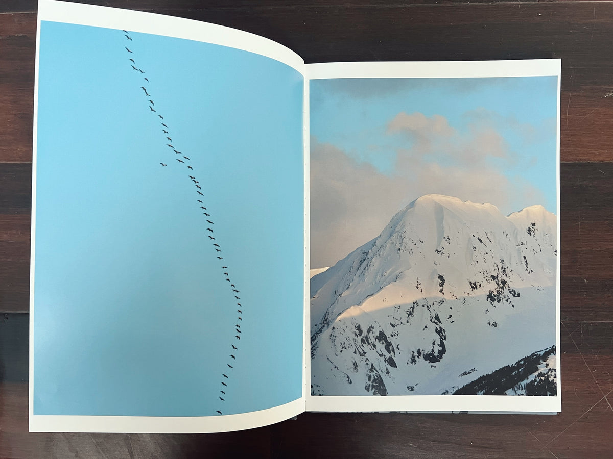 Wild Alaska: Views From The North Cover No. 2
